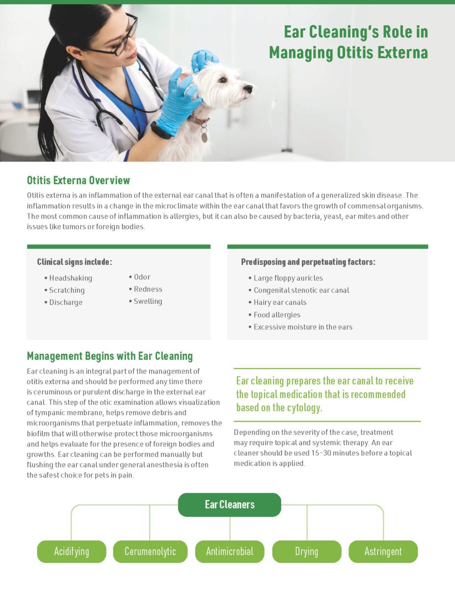 Managing Otitis Externa PDF