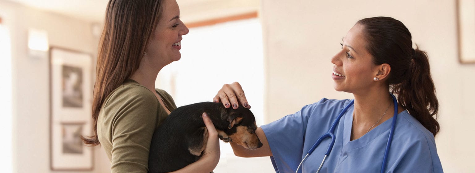 When to Refer to a BoardCertified Veterinary Dermatologist DermED