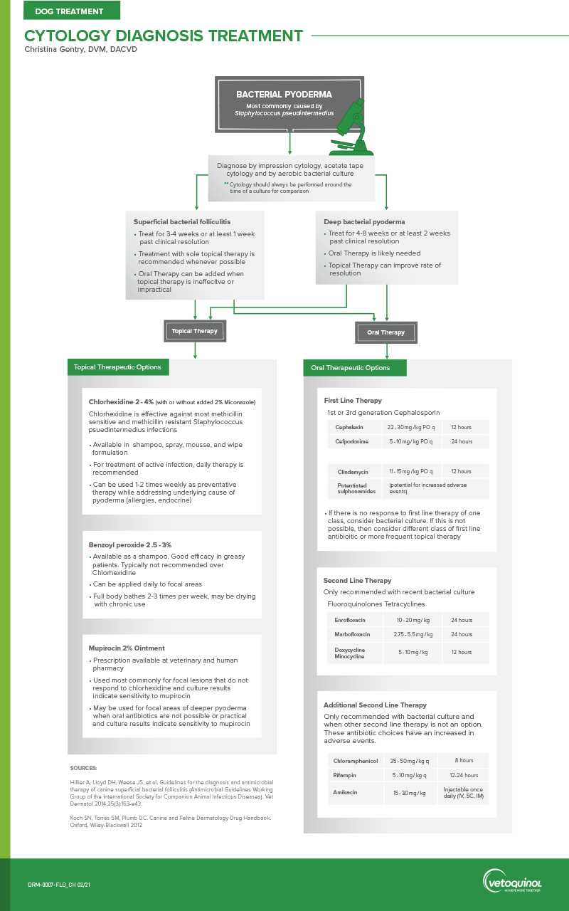 Bacterial Pyoderma Flow Chart