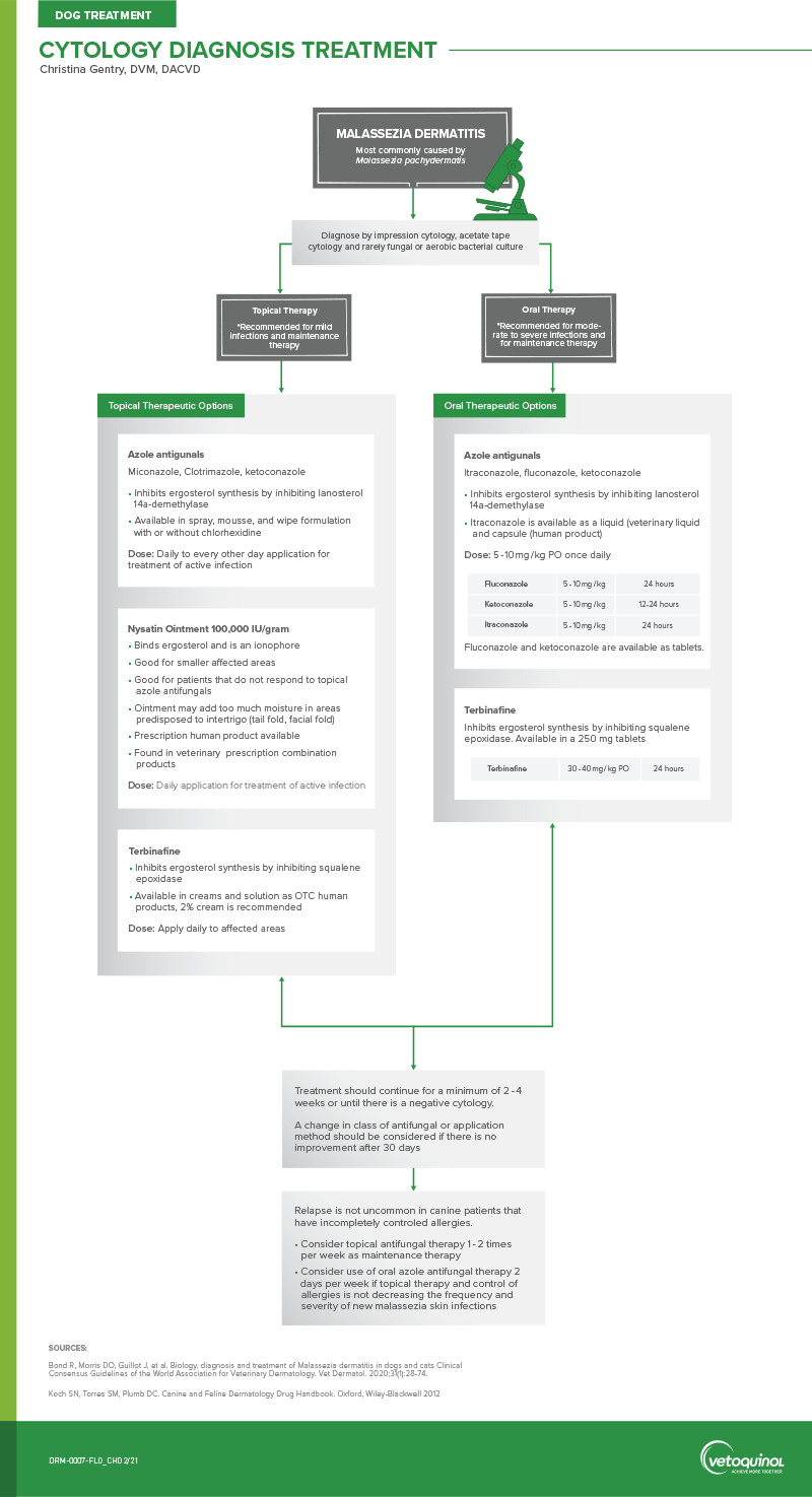 Malasezzia Cytology Flow Chart